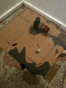 First things first... hours spent prying up vinyl and cleaning the floor.