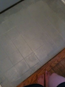 Freshly painted stamped concrete in the entryway. When I took this, I was thinking I need cutesy trim.
