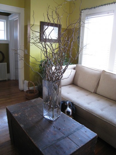 Curly Willow Branches, and Cody. They're a little too tall for the coffee table, so they're now set against the wall in the corner for display.