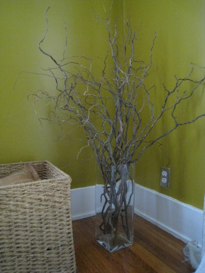 curly willow branches.