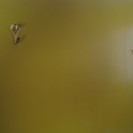 Very durable hooks installed on the wall. The D-rings on the back of the frame attach directly to the hooks.