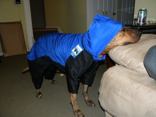 Hudson, cozy in his hooded snowsuit.