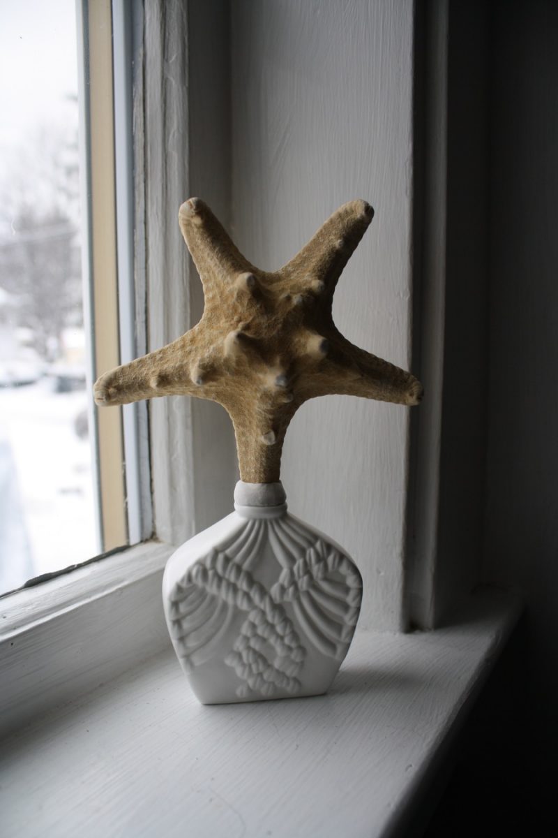 Starfish DIY Decor.