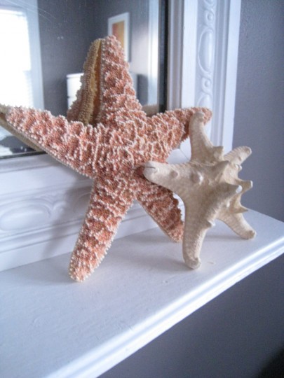 Dainty Details: Starfish