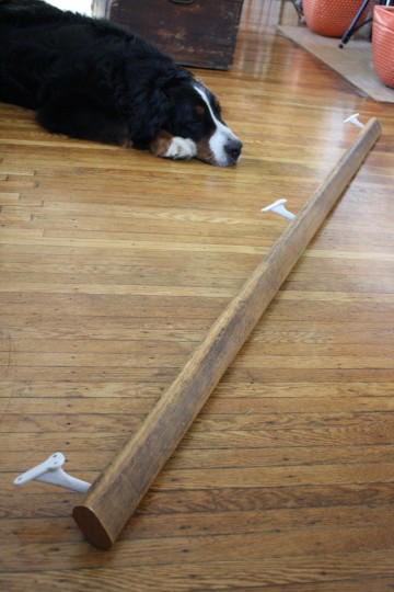 Dusting off the railing. Cody was not interested in this project. Dusting off the railing. Cody was not interested in this project.