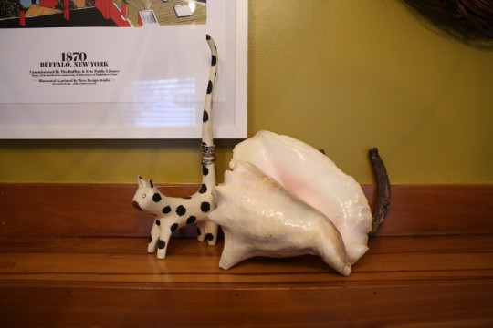 Catty. (And conch shell, and rusty horseshoe.)