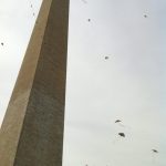 There was a kite flying contest at the Washington Monument. Amazing sight.