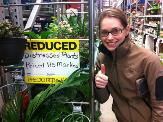 Save the Distressed Plants. Is that an Orchid? Score!