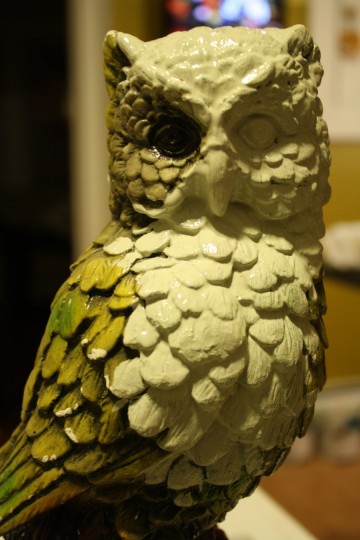 Half-painted owl face.