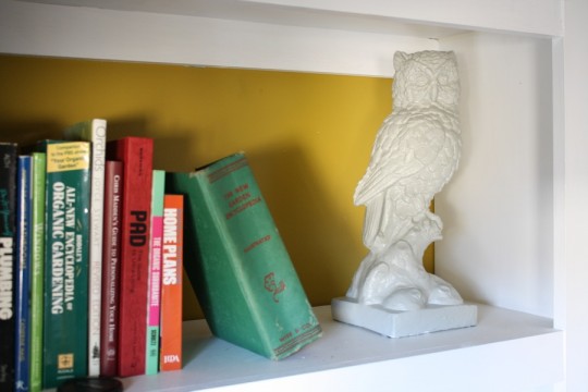 Gray owl. On the built-in shelving for now.