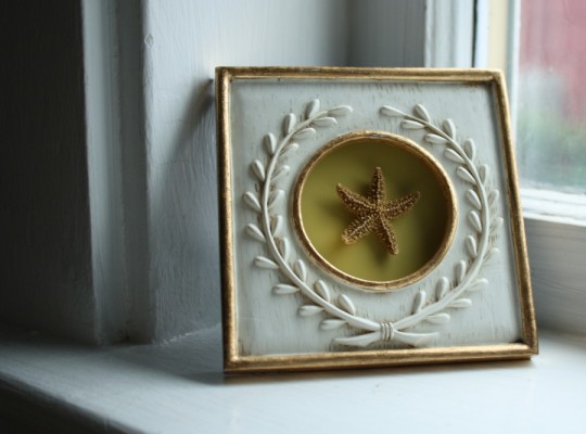 New garage sale frame displaying a starfish mounted on a paint chip. 