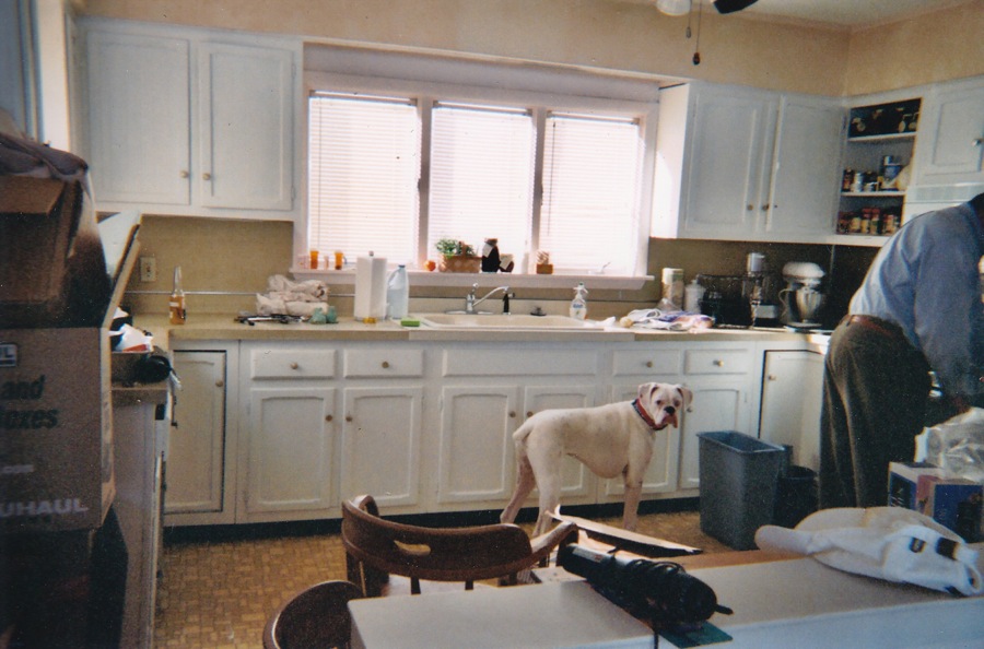 Before: Kitchen, with the cabinets painted white. And Bruno.