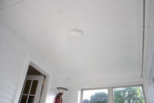 A sunny, very white sunroom. With a not-so-hidden tin foil hole covering up a key bee access point. 