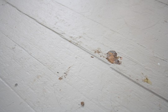 Whoops, the wood glue from a framing job peeled up some of the porch floor paint.