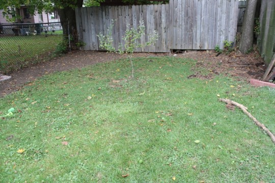 Cleared, but imperfectly round gardening space behind the garage. At least the lemon balm has been cleared.