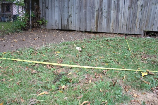 Playing landscaping pro with a few screwdrivers and twine.