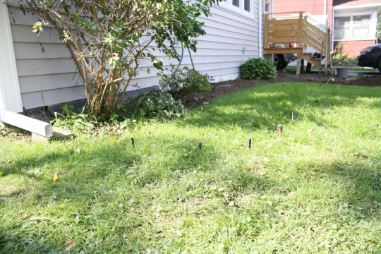 Plotting out the expanded front garden.