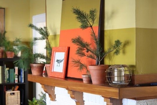 Pine branch decor on the mantle.