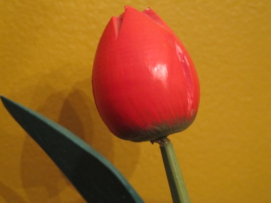 Fixed wooden tulip.