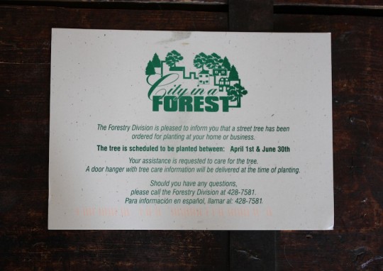 Ooh, forestry department postcard!