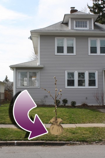 Right. About. There. Yep, that's perfect.