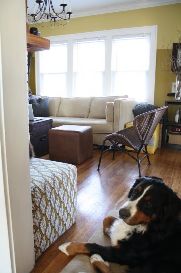 Finished pleather ottoman, and a sleepy doglips.