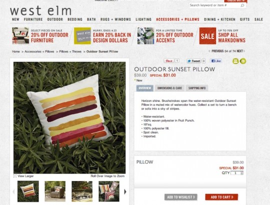 West Elm Sunset Pillow