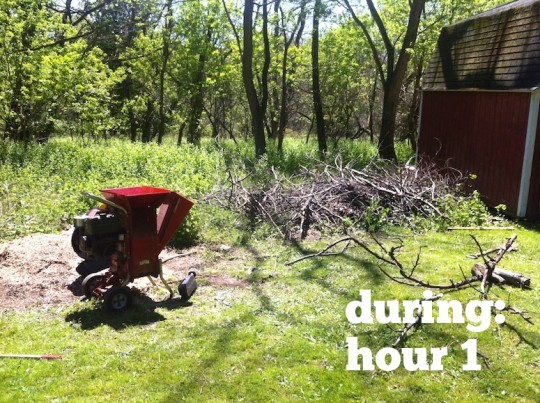 Wood chipping: An exhaustive first hour.