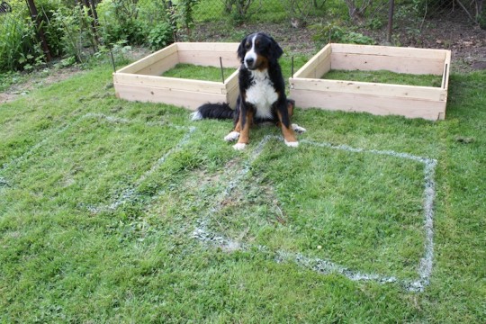 Spray painting along the inside of the planter boxes.