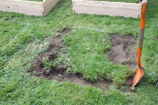 Removing grass for the planter boxes.