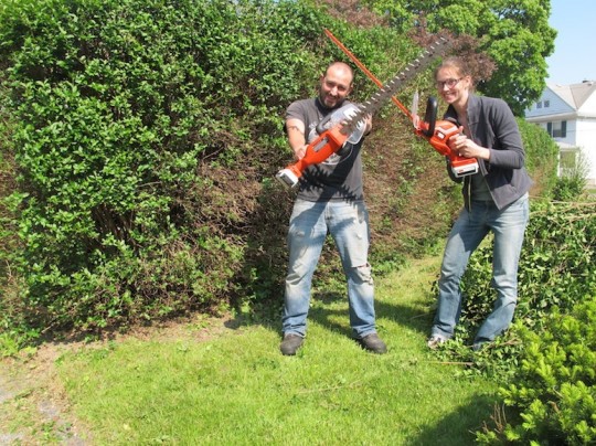 Finished hedges, power duo.