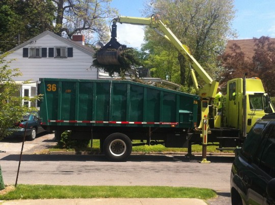The City of Rochester does have a remarkably fine disposal system.
