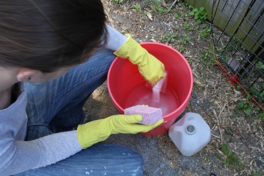 TSP prep in a clean bucket in the driveway.