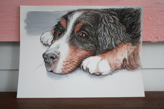 An illustration of our Bernese Mountain Dog, by Erin Makes Stuff (Erin Busch)