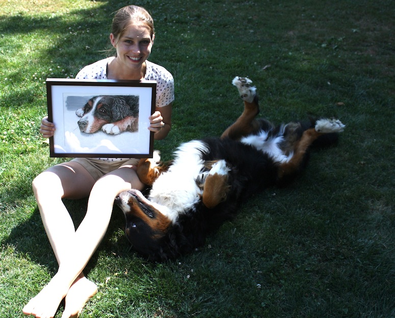 Bernese Mountain Dog Illustration.