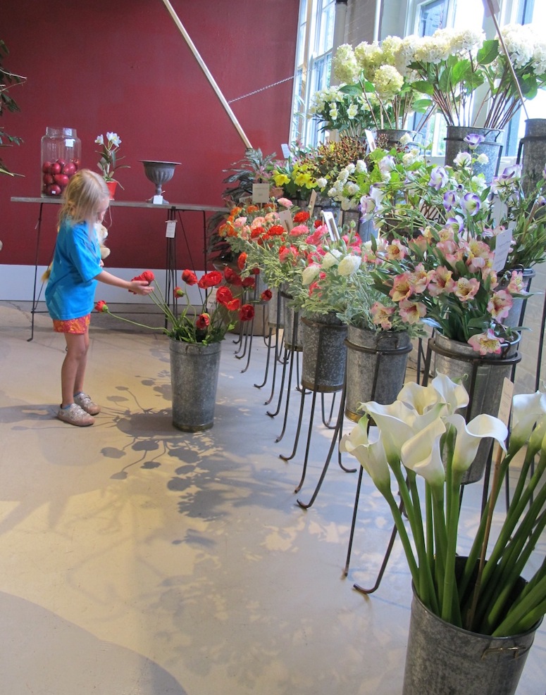 Checking out Preferred Plants.