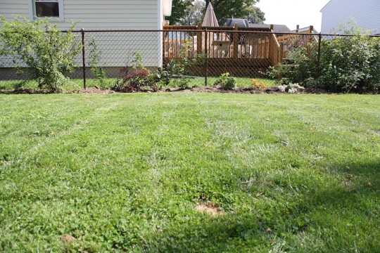 Cleared and improved garden bed.