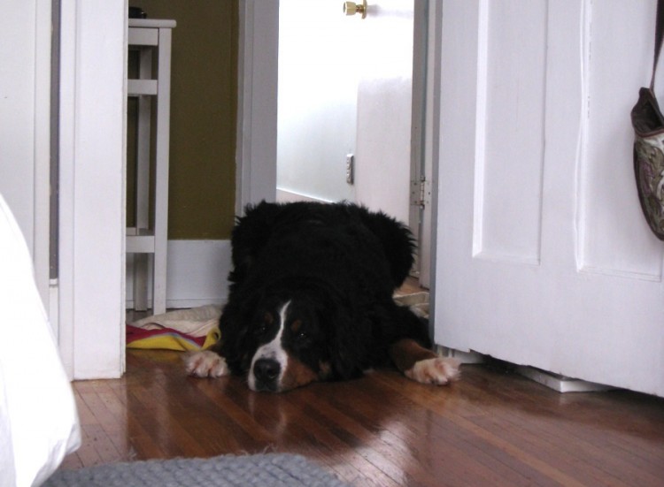 The bottom of my bedroom door was sawn horribly?