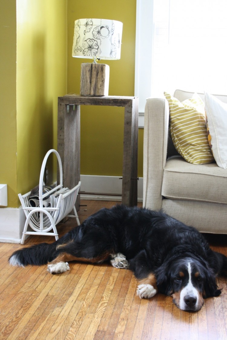 A bentwood magazine rack and dust collector.
