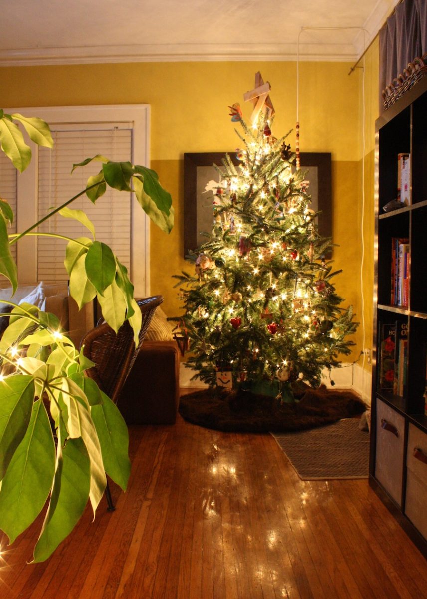 Glowing christmas tree. Our first large tree as a family of three.