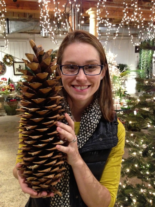 Whoa, giant pine cones!