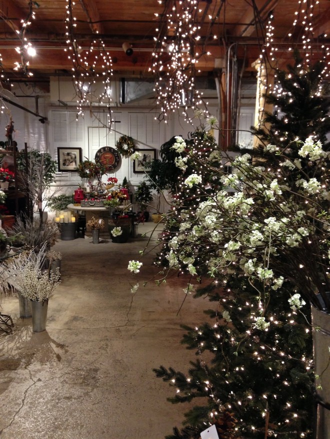 Sparkly, bright, Night of Lights at Preferred Plants.