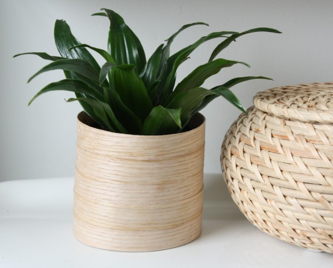 Real wood veneer edging becomes a modern wooden planter.