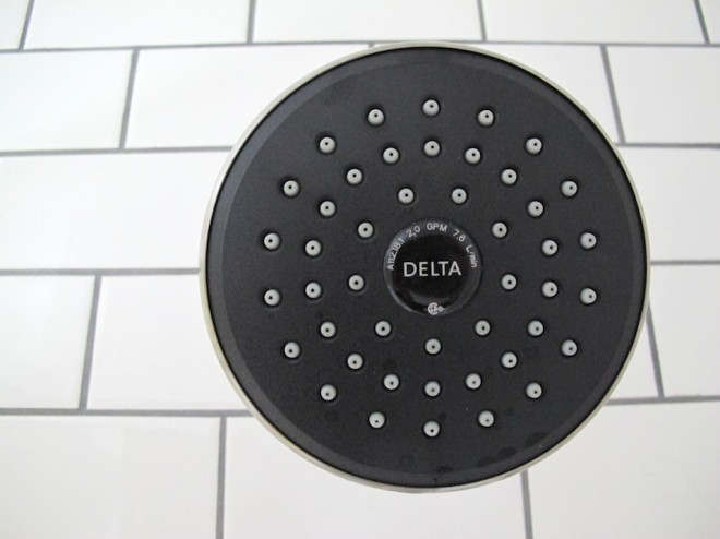 New Delta showerhead for the bathroom.