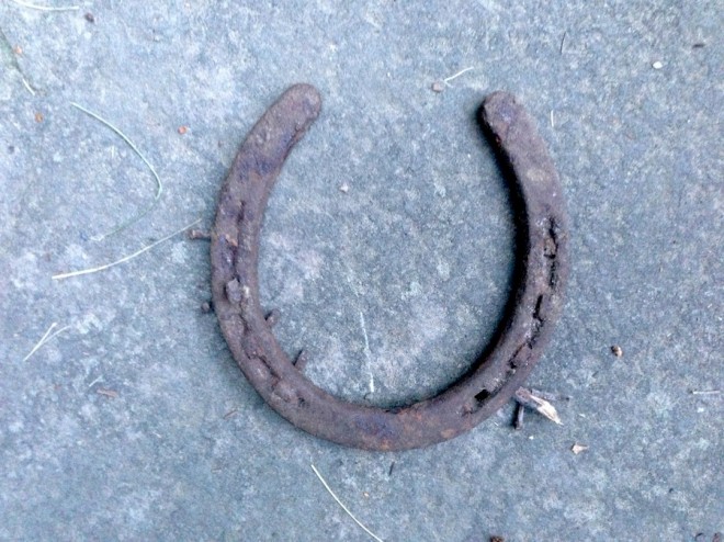 Horseshoe #1. August 1, 2013