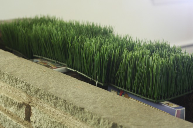 Testing out the faux-grass in our flagstone planter.