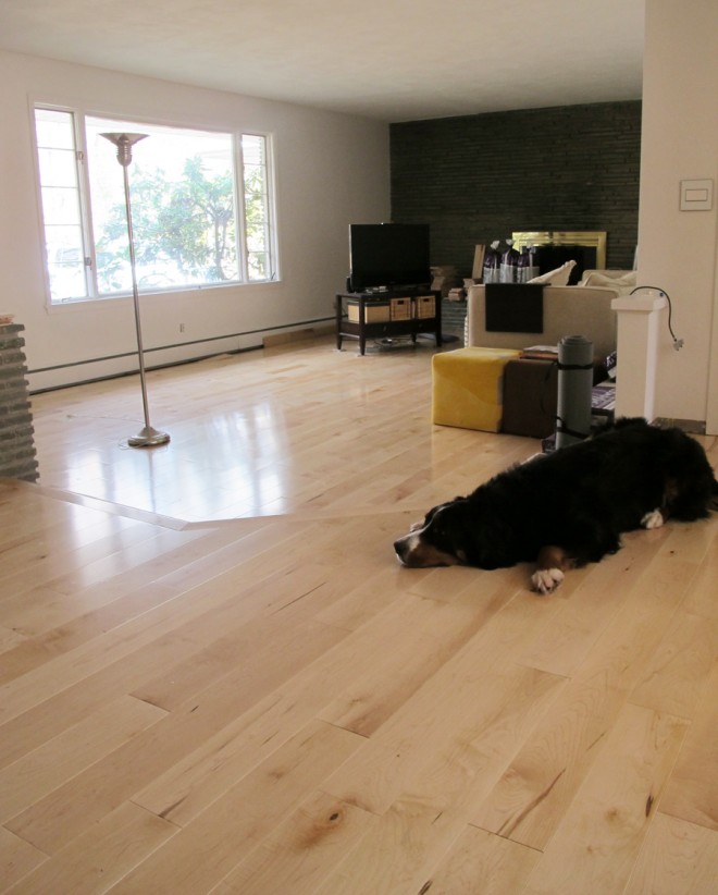 Ta-da, new maple flooring throughout our living room!