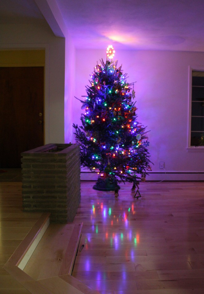 Christmas tree, 2013.