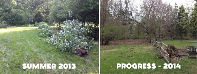 Yard progress, Spring 2014