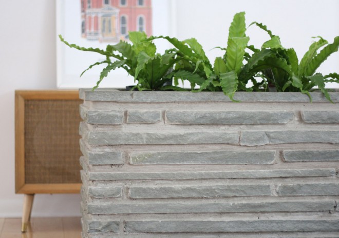 Indoor ferns for a midcentury stone indoor planter.